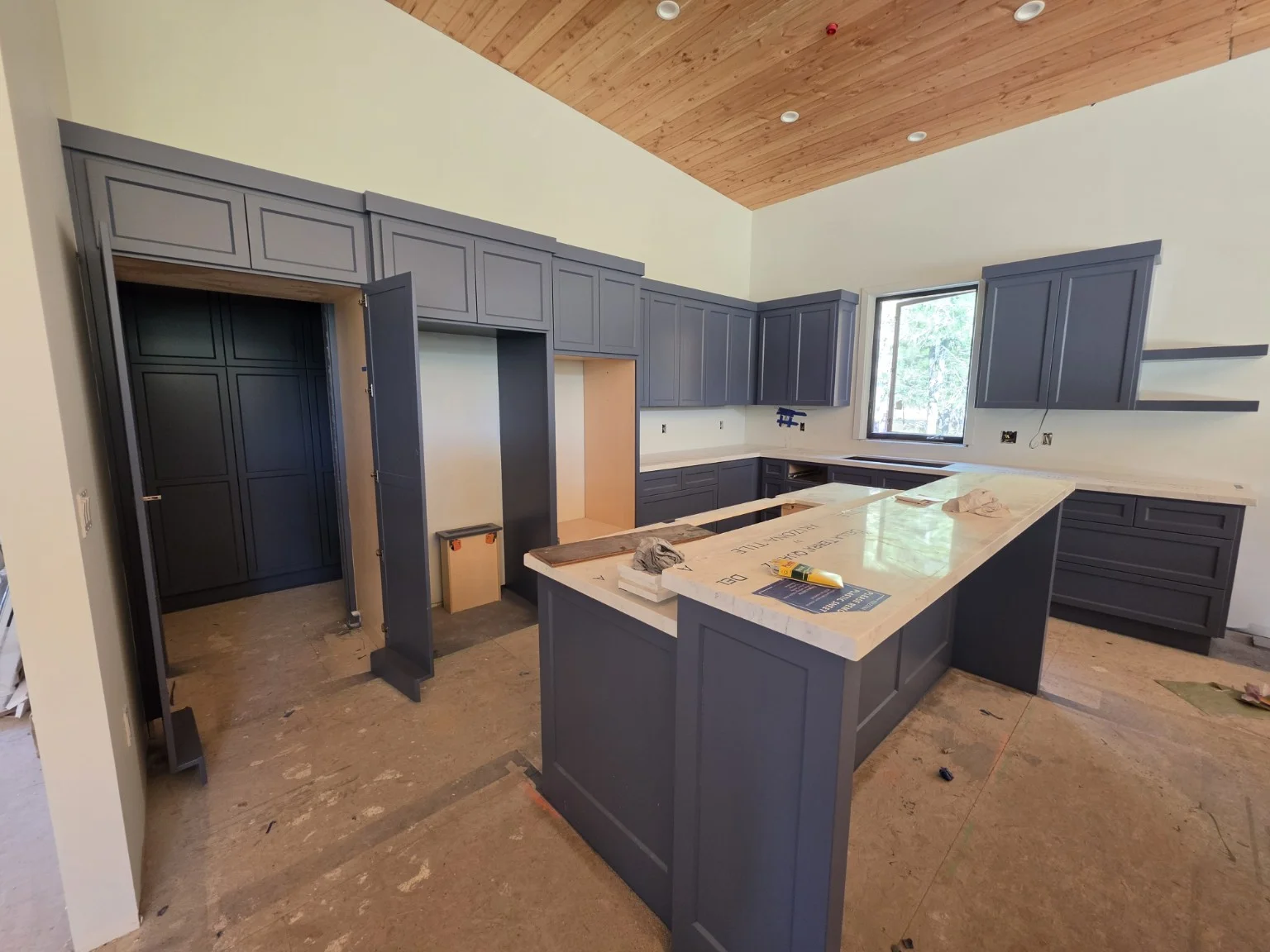 Blue kitchen cabinetry — Cityscape Painting project collection